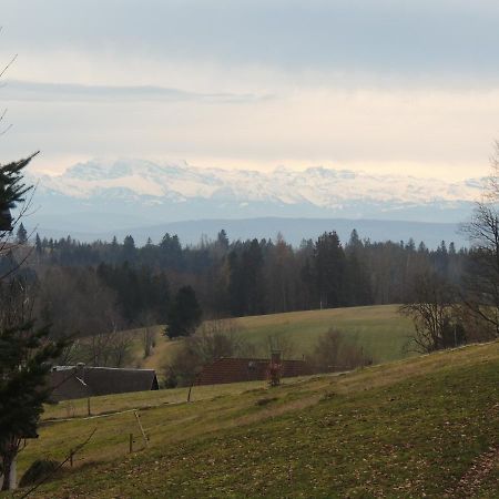 Haus Ingeborg Leilighet Dachsberg im Schwarzwald Eksteriør bilde