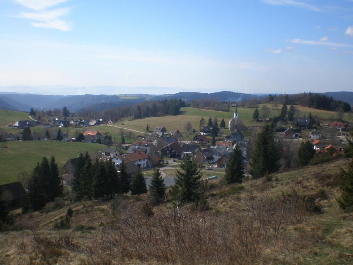 Haus Ingeborg Leilighet Dachsberg im Schwarzwald Eksteriør bilde