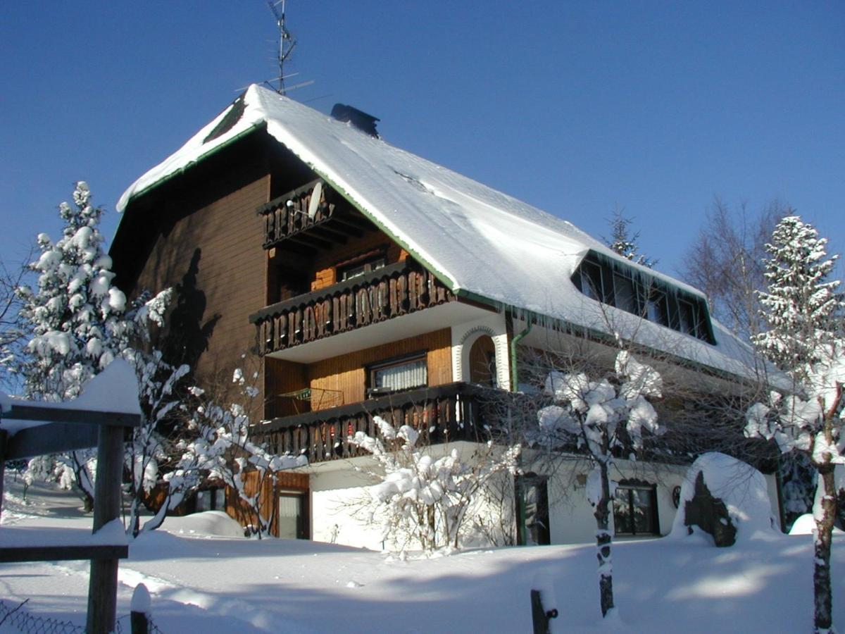 Haus Ingeborg Leilighet Dachsberg im Schwarzwald Eksteriør bilde