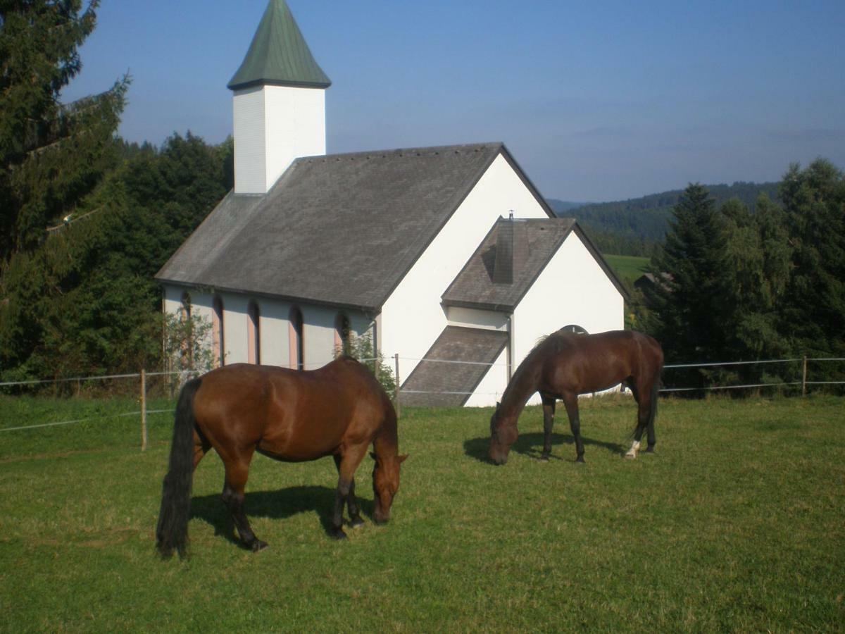 Haus Ingeborg Leilighet Dachsberg im Schwarzwald Eksteriør bilde