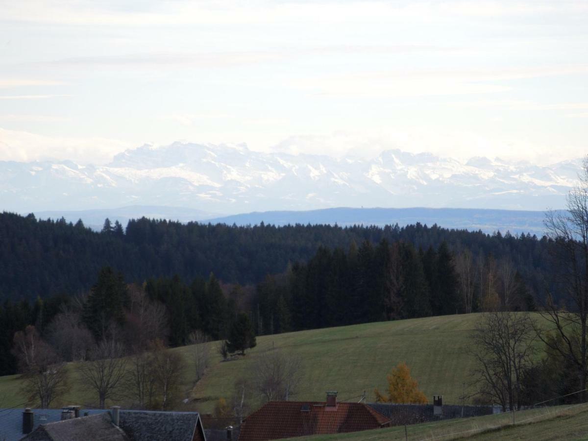 Haus Ingeborg Leilighet Dachsberg im Schwarzwald Eksteriør bilde