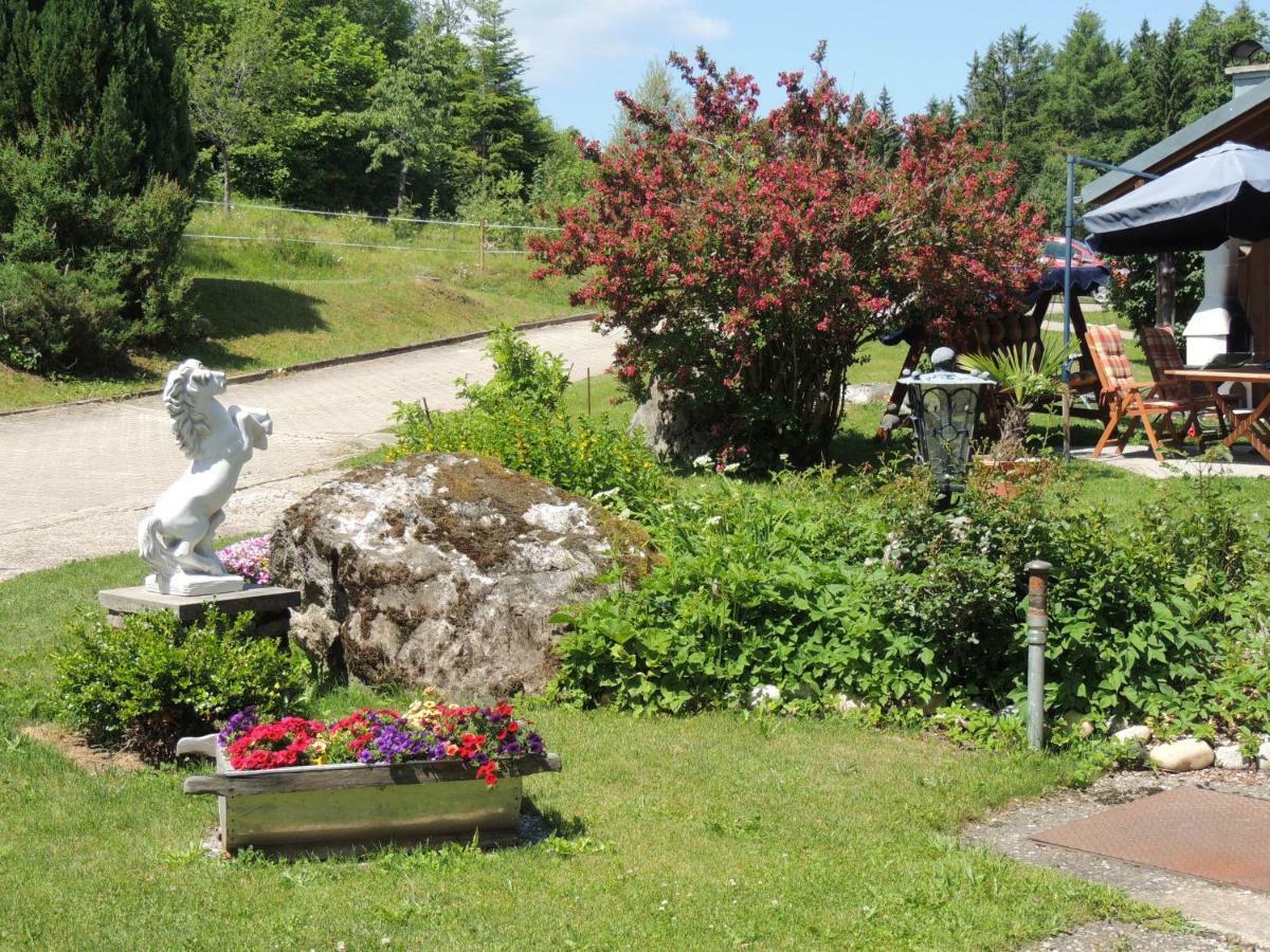 Haus Ingeborg Leilighet Dachsberg im Schwarzwald Eksteriør bilde
